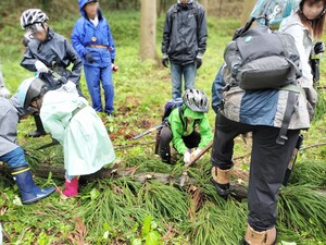 IMG20250524143303.jpg
