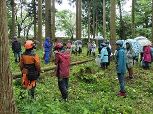 IMG20250524144016.jpg