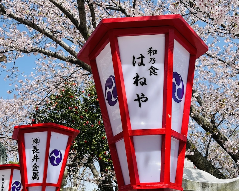 B14849A9-0D47-46CC-AAC0-5A8A19A7428F.jpg