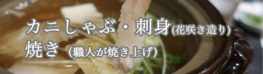 copy1735267225_sashimi.png