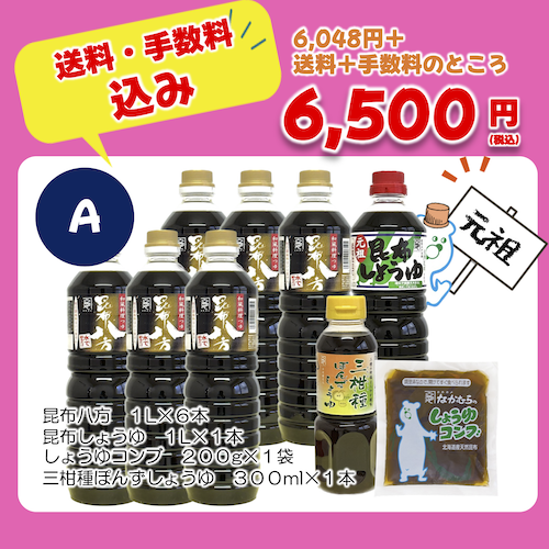 500Aカメ活サマー2024.png