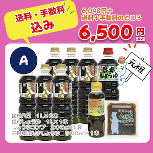 Aカメ活サマー2024.png