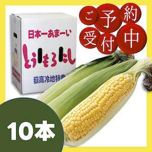 copy1747889098_嶽きみ10.png