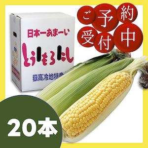 copy1747889101_嶽きみ20.png