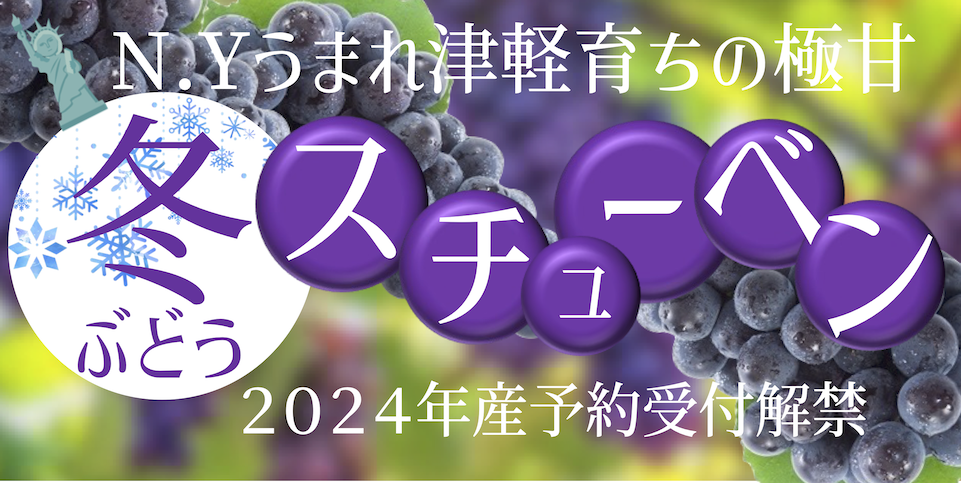 【バナー】2024スチューベン.png