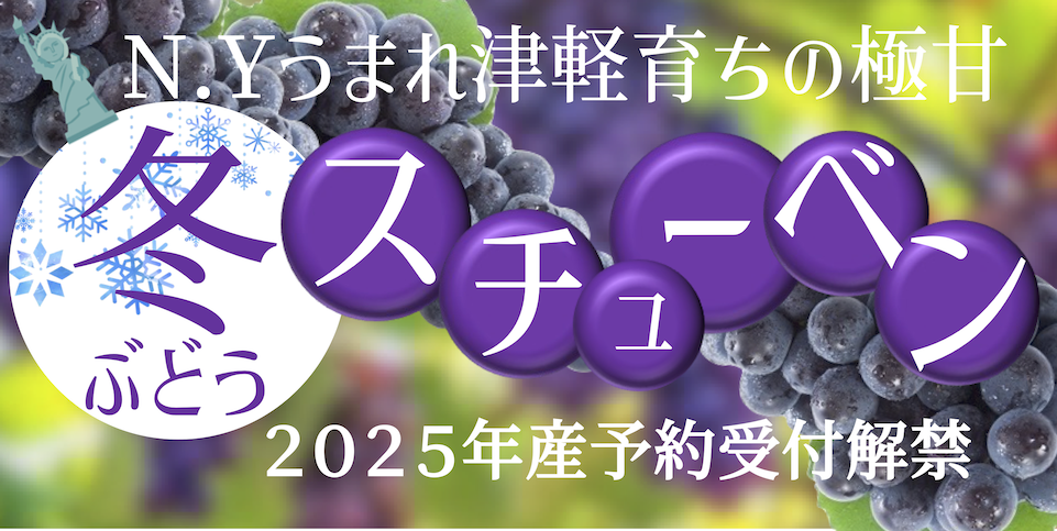 【バナー】2025スチューベン.png