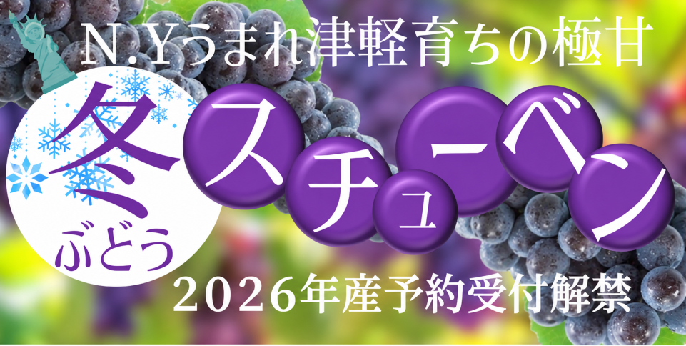 【バナー】冬ぶどう「スチューベン」予約解禁.png