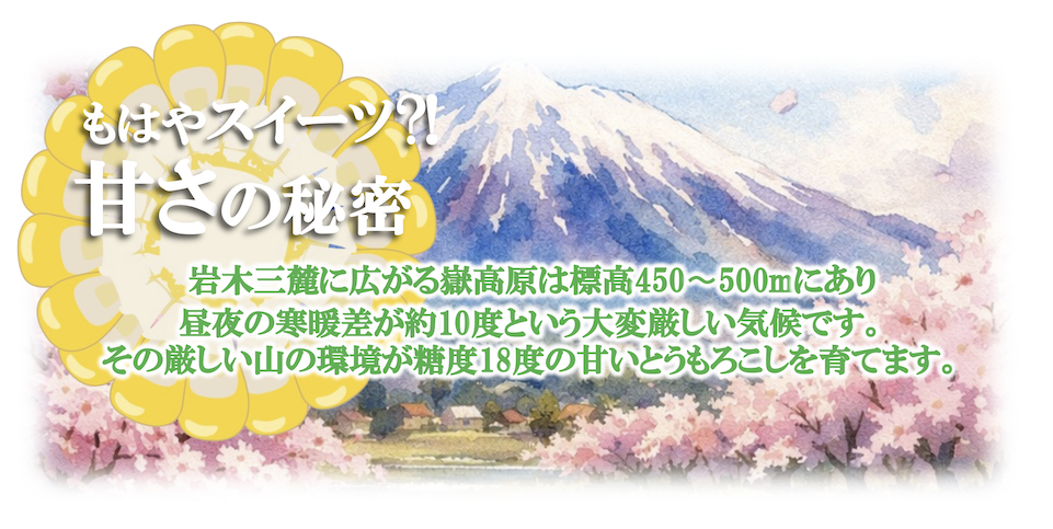 甘さの理由.png