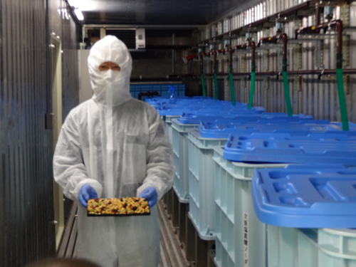 日本初の業務用発芽大豆製造 大型プラント