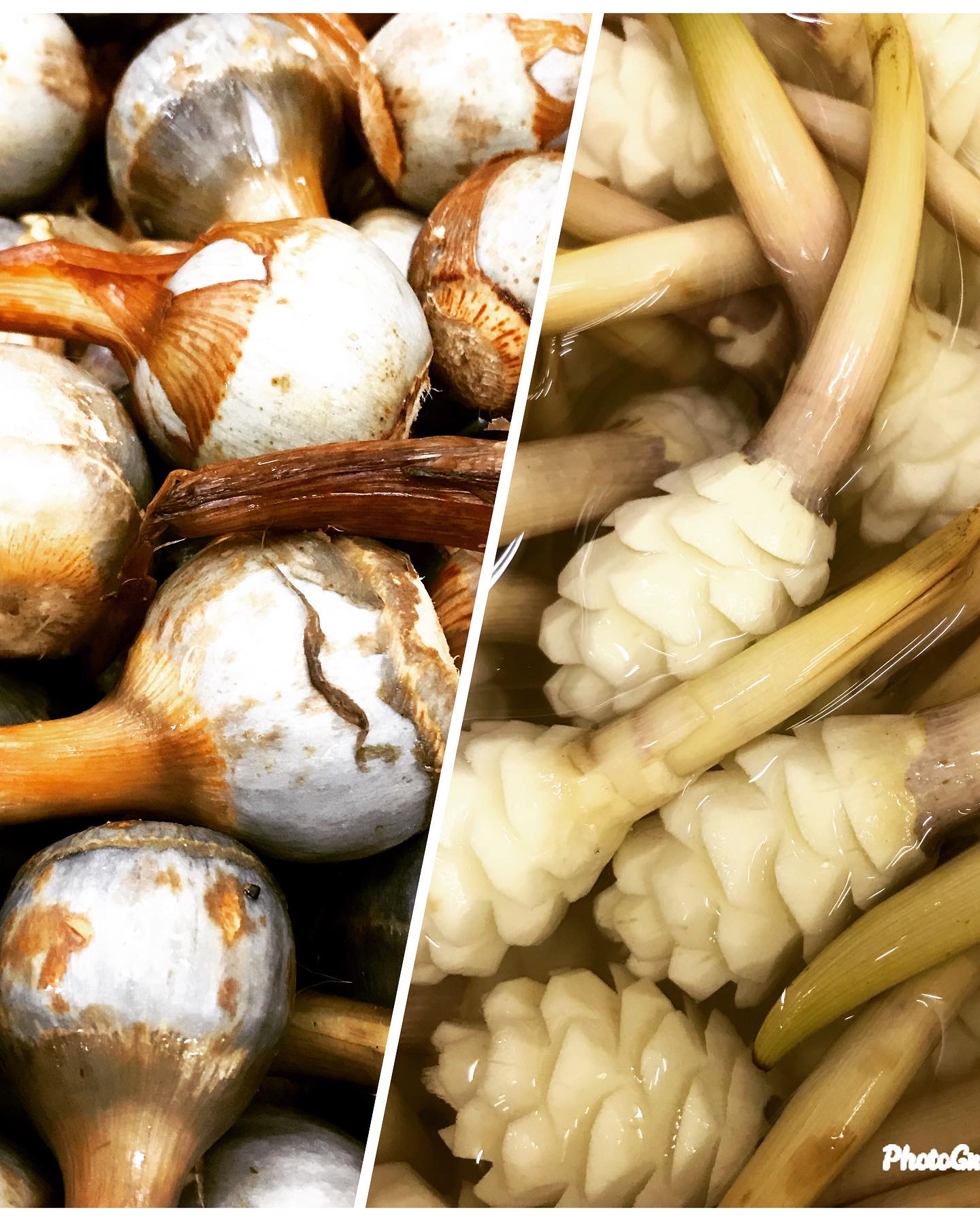 柿市商店を初めて ご利用されるお客様へ