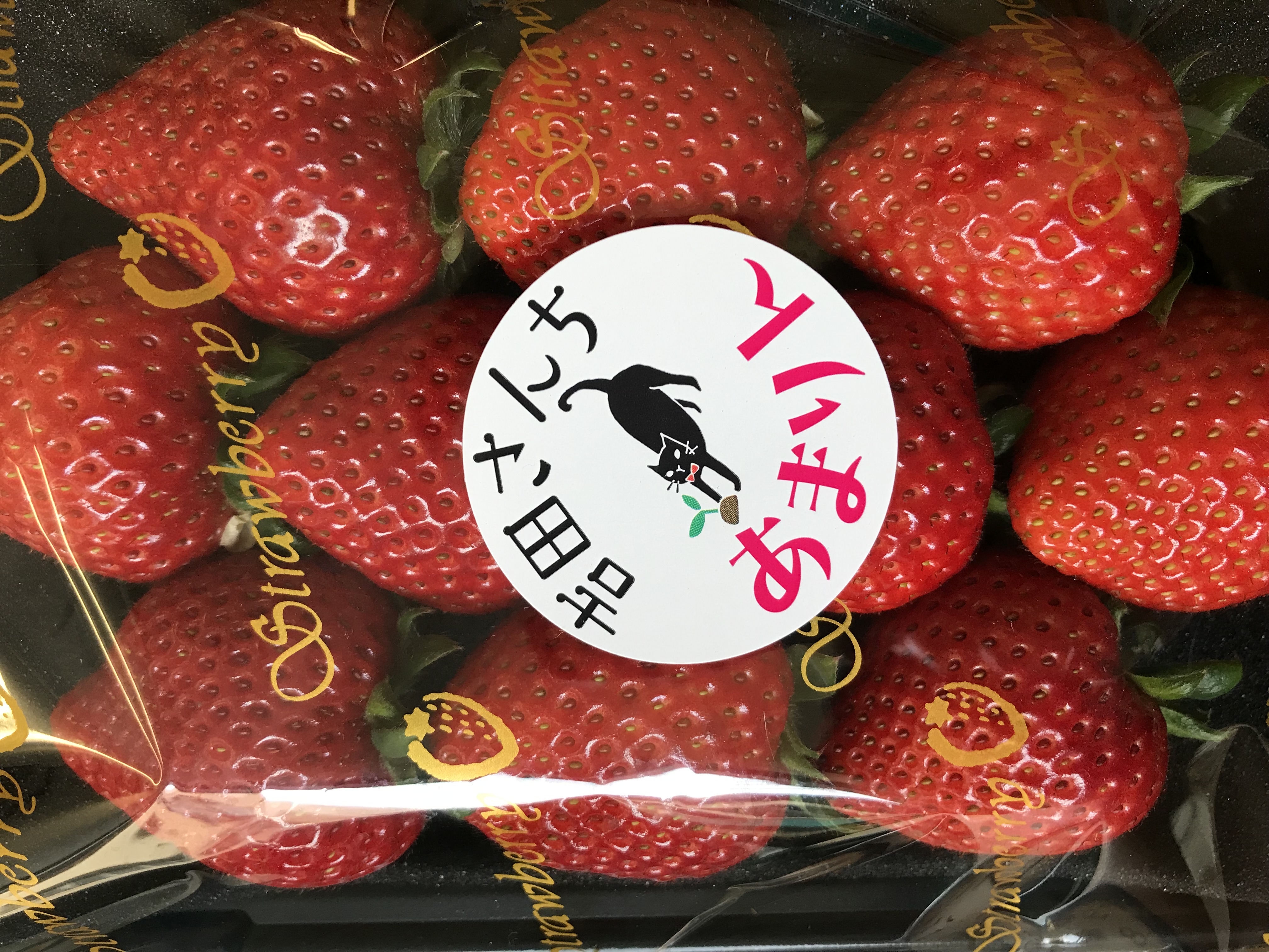 柿市商店を初めて ご利用されるお客様へ