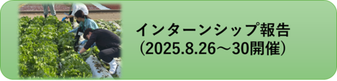 2025インターンシップ.png