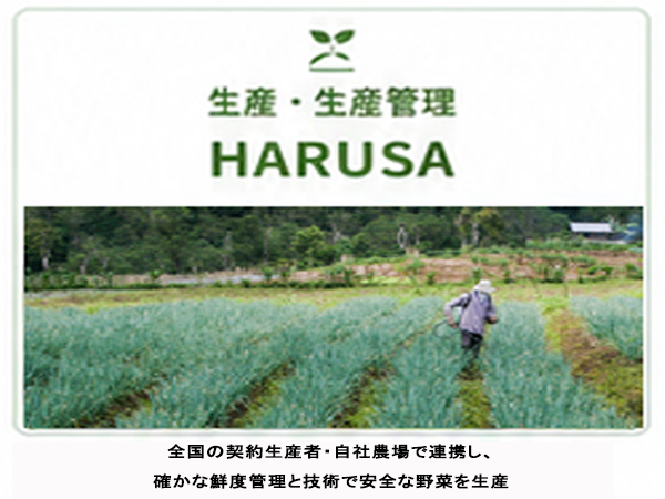 HARUSA事業リンク-1image.png