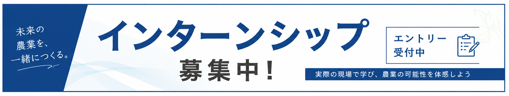 インターンシップ