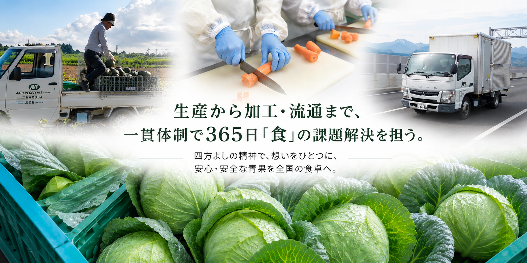 トップ画像.png