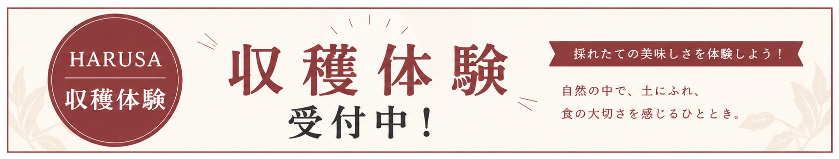 HARUSA収穫体験