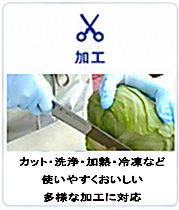 強み_加工1.png